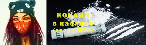 прущий лед Алзамай
