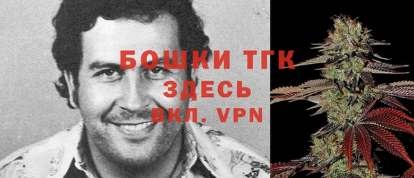 прущий лед Алзамай