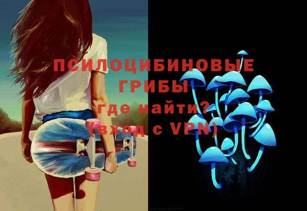 герыч Алексин