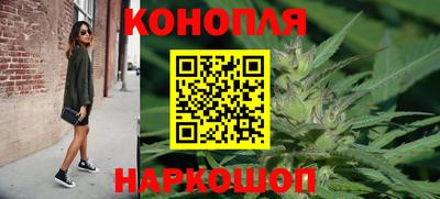 стаф Тара