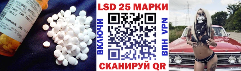где можно купить Темрюк мега рабочий сайт Лсд 25 экстази кислота