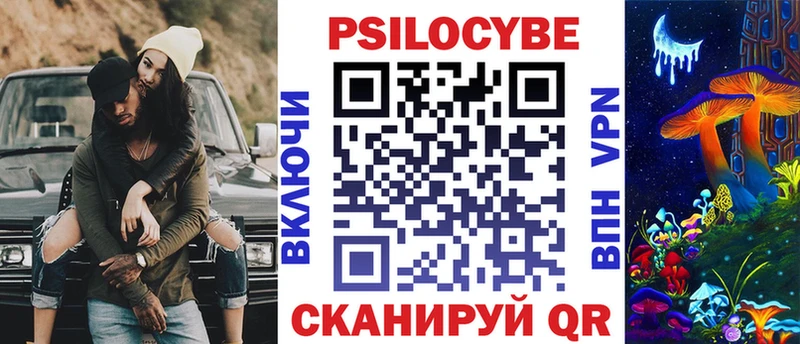 купить закладку Темрюк Псилоцибиновые грибы GOLDEN TEACHER