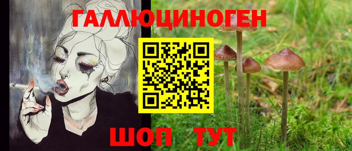 Псилоцибиновые грибы ЛСД Темрюк